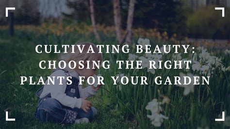  Your Italian Garden: Cultivating a Life of Beauty - An Ode to Tranquility and Traditional Elegance